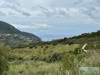 Sea-View Plot with Olive Trees in Nyfi