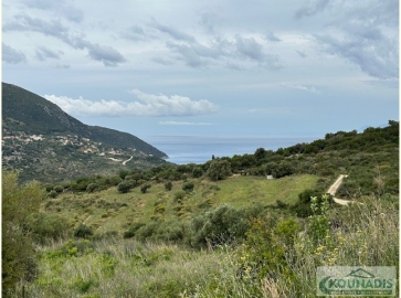 Sea-View Plot with Olive Trees in Nyfi
