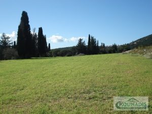 019, Plot  for sale in the village Dilinata of Argostoli,  Kefalonia