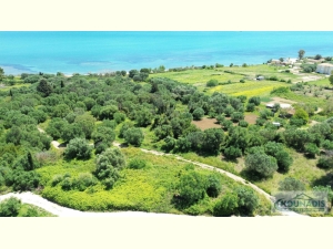 032, Οικόπεδο προς πώληση στο Ληξουρι