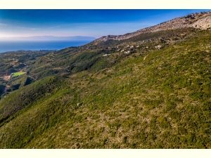 037, Plot for sale in old Skala, Skala Kefalonia