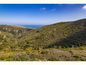 038, Plot for sale in old Skala, Skala Kefalonia