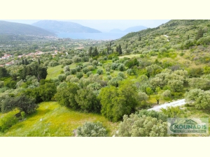 039, Superb plot for Sale in Grizata of Sami