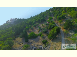 049, Plot with endless view, Sami 